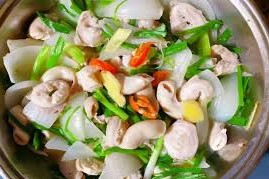 DỒI TRƯỜNG HẤP RỪNG